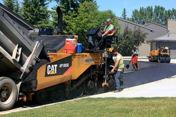 Best Custom Driveway Pavers  in Fruitville, FL